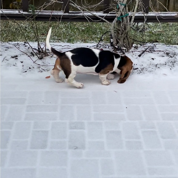 Meet your Posher, Sally - Picture 7 of 9